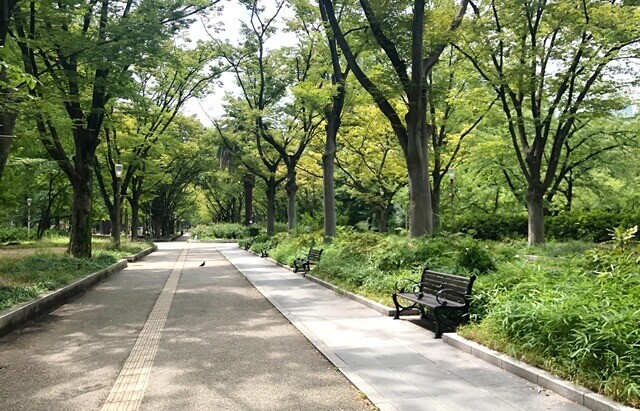 筑後広域公園は福岡で女装子、男の娘、ニューハーフと出会いのあるスポット