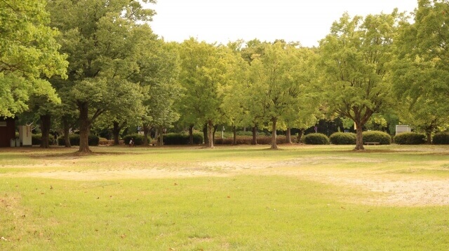 小幡緑地公園は名古屋で女装子、男の娘、ニューハーフと出会いはあるスポット
