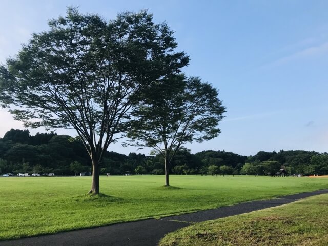 文化の森総合公園は徳島で女装子、男の娘、ニューハーフと出会いがあるスポット