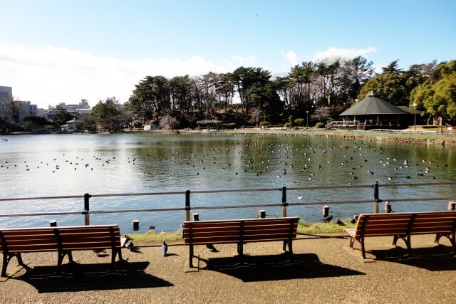 千葉公園は女装子、男の娘、ニューハーフと出会いがあるスポット