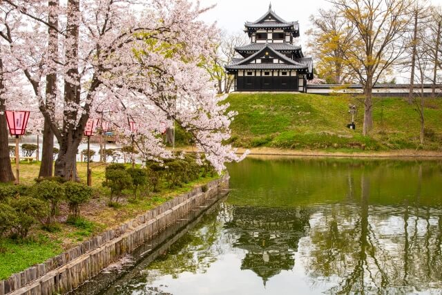 高田城址公園は新潟で女装子、男の娘、ニューハーフと出会いのあるスポット