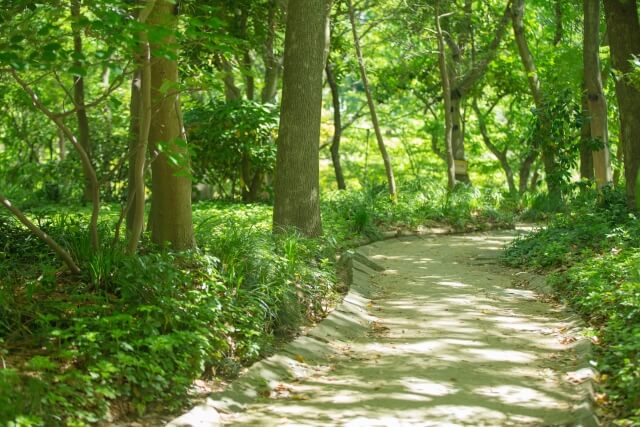 雁回公園は熊本で女装子、男の娘、ニューハーフと出会いがあるスポット