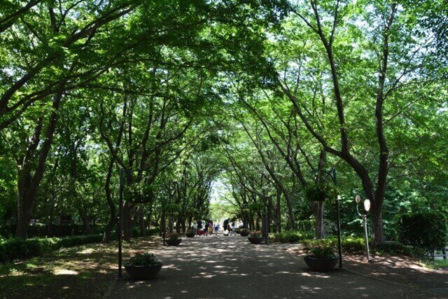 万葉の森公園は浜松で女装子、男の娘、ニューハーフと出会いがあるスポット