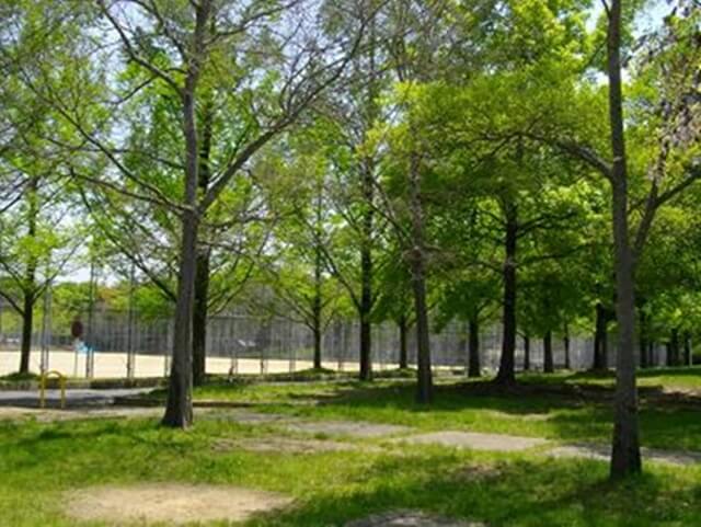 横大路運動公園は京都で女装子、男の娘、ニューハーフと出会いがあるスポット