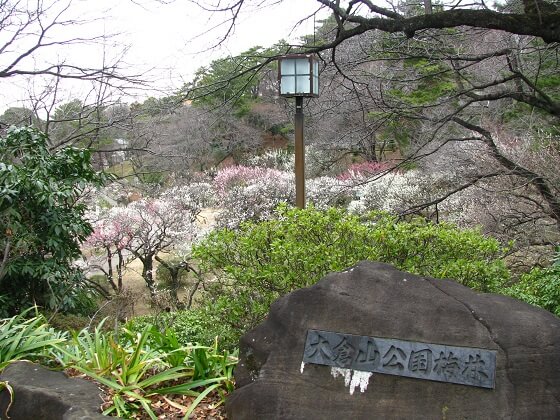 大倉山公園は兵庫（神戸）で女装子、男の娘、ニューハーフと出会いがあるスポット