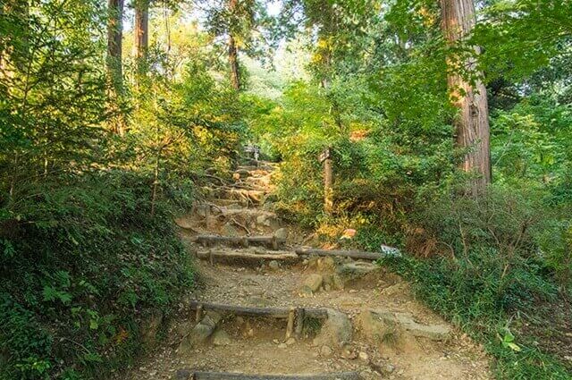 鳴門木津城山公園は徳島で女装子、男の娘、ニューハーフと出会いのあるスポット
