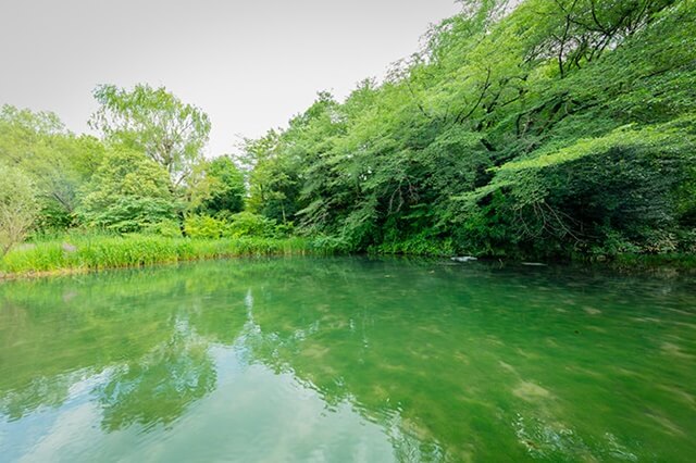 清潟公園は新潟で女装子、男の娘、ニューハーフと出会いのあるスポット