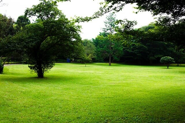 東公園は福岡で女装子、男の娘、ニューハーフと出会いのあるスポット