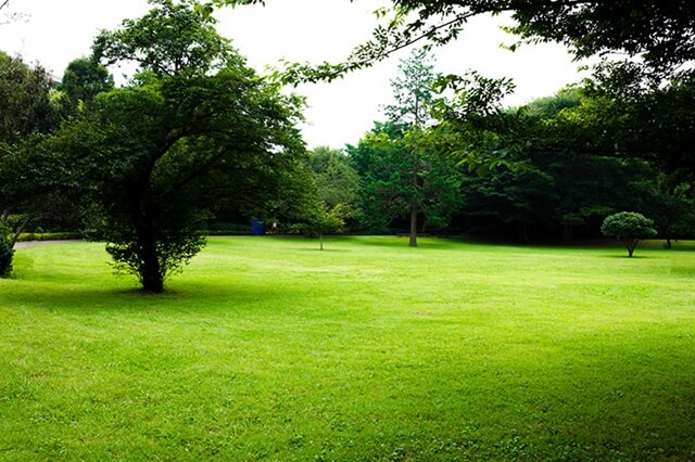 大府みどり公園は名古屋で女装子、男の娘、ニューハーフと出会いのあるスポット