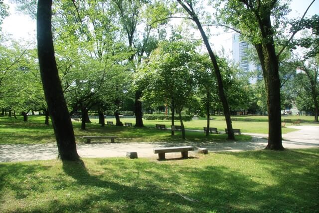 花川運動公園は浜松で女装子、男の娘、ニューハーフと出会いがあるスポット