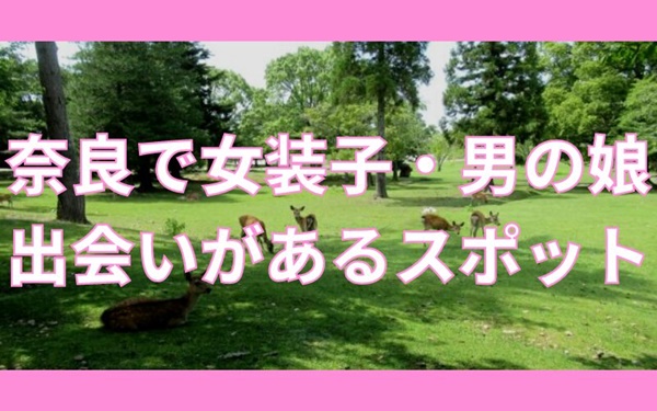 奈良で女装子・ニューハーフと出会いがある人気スポット