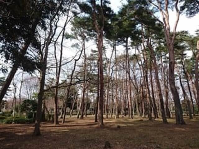 赤塚公園は茨城で女装子、男の娘、ニューハーフと出会いがあるスポット