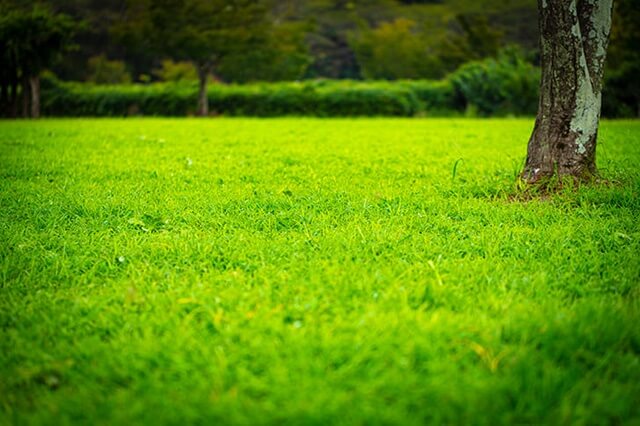 飾磨緑地公園は姫路で女装子、男の娘、ニューハーフと出会いがあるスポット