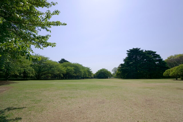 池公園は高知で女装子、男の娘、ニューハーフと出会いがあるスポット