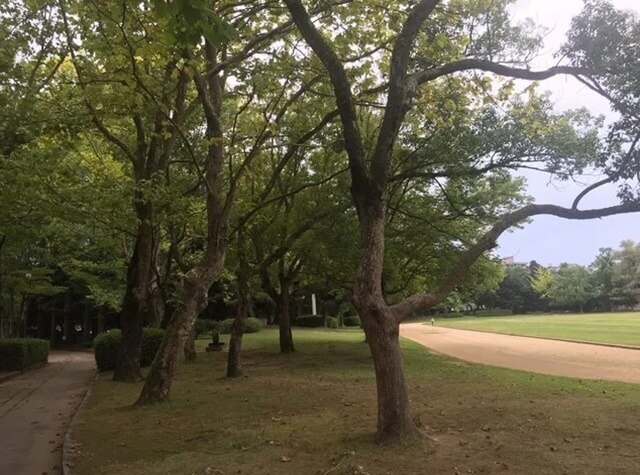 幾久公園は福井で女装子、男の娘、ニューハーフと出会いがあるスポット