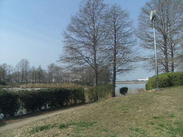 天満大池公園は加古川で女装子、男の娘、ニューハーフと出会いがあるスポット