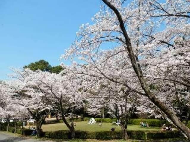 鳥栖田代公園は佐賀で女装子、男の娘、ニューハーフと出会いがあるスポット