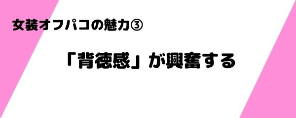女装オフパコの魅力 (3)
