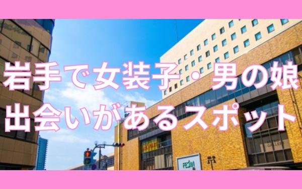 岩手で女装子・男の娘と出会いがある人気スポット